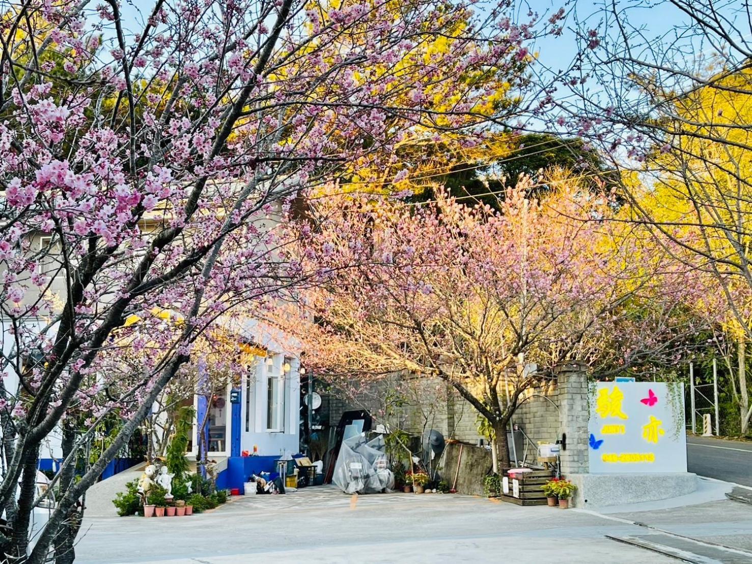 Junyi Landscape Villa Ren'ai Esterno foto